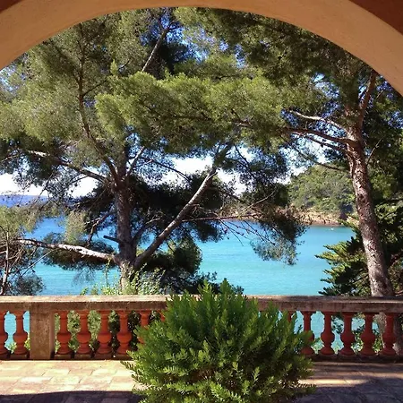 Beautiful In Near Sea * Rayol-Canadel-sur-Mer