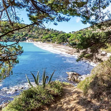 Beautiful In Near Sea Villa Rayol-Canadel-sur-Mer