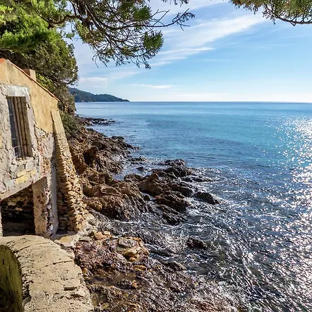 Beautiful In Near Sea Rayol-Canadel-sur-Mer